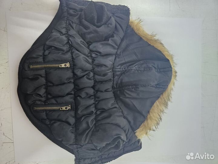 Одежда для маленьких собак