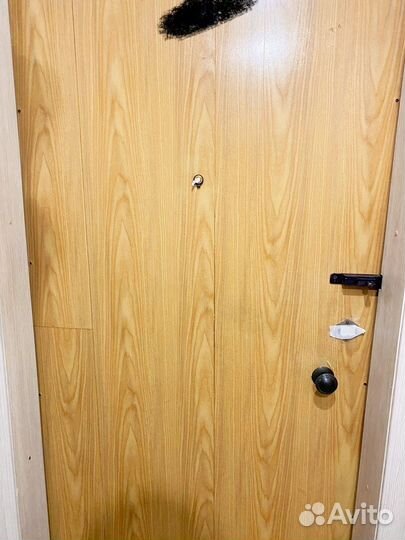 Дверь входня