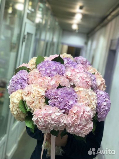 Букет цветов гортензия, Цветы Букеты с доставкой