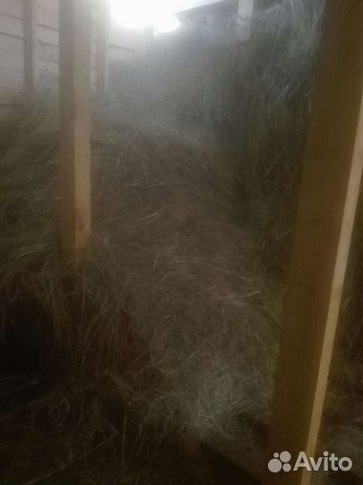 Сено луговое и Солома для подстилки животных