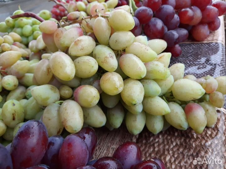 Саженцы Персика, Винограда, Яблонь, Груш