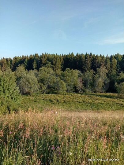 Участок 10 сот. (ИЖС)