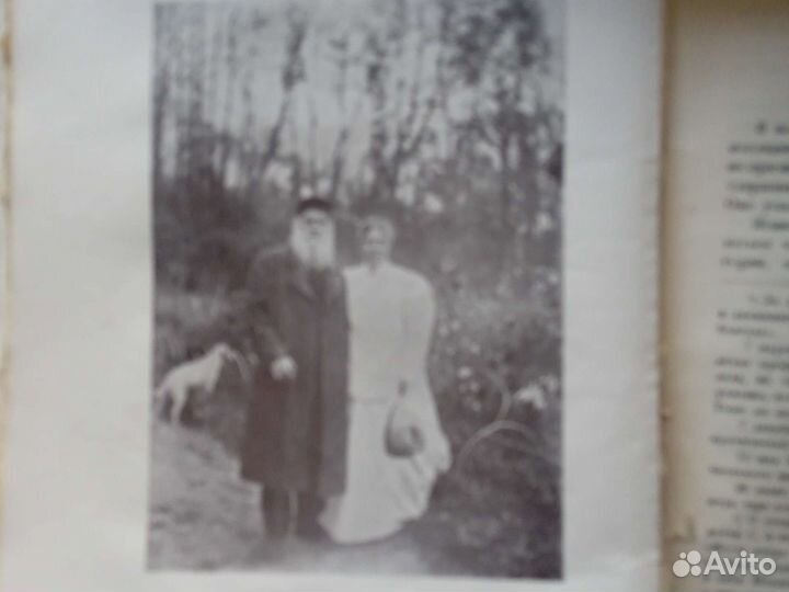Антикварная книга Любовь в жизни Льва Толстого