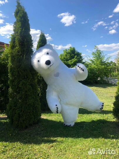 Белый мишка поздравление