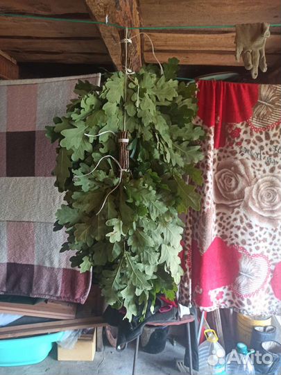 Веники для бани