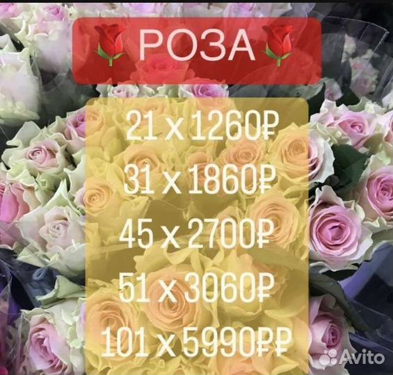 Розы Доставка цветов 101 роза