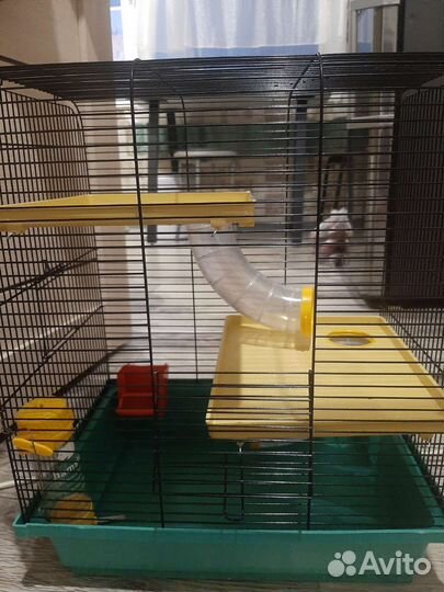 Клетка для грызунов бу