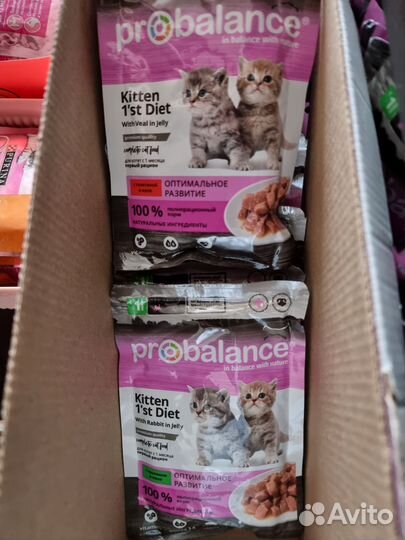 Корм для котят