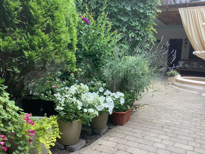 Комната 17 м² в 1-к., 2/3 эт.