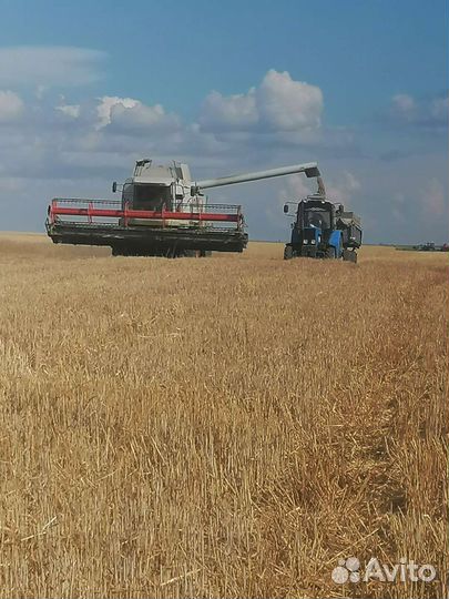 Услуги по уборке урожая на 2023г