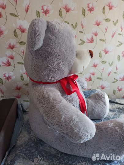 Большой медведь