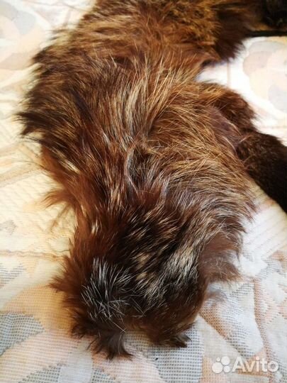 Воротник из чернобурой лисы