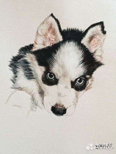 Художник-анималист