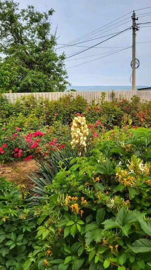 Дом 35 м² на участке 11 сот.