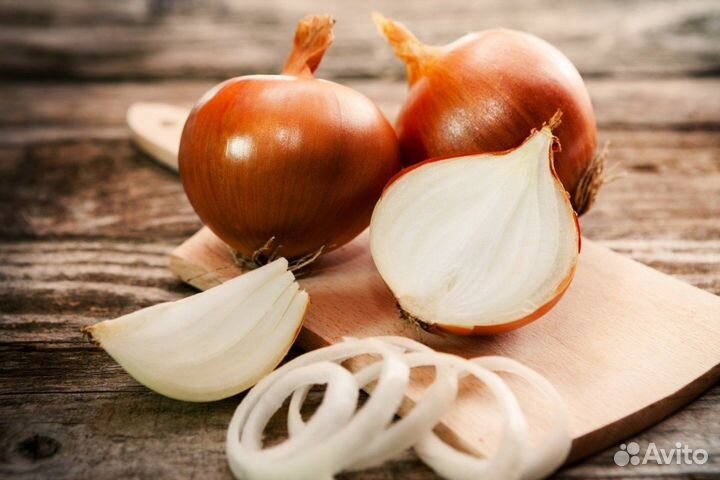 Лук Штудгарт – Риззен на выгонку пера