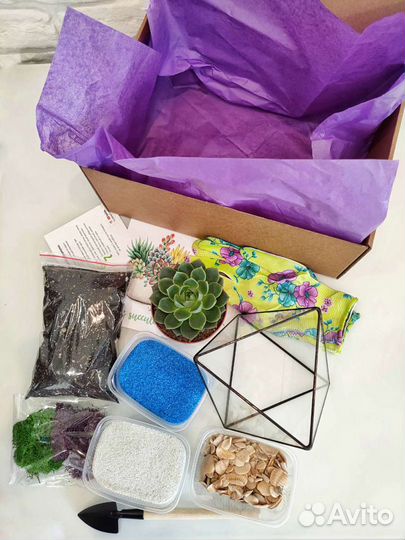 Набор для создания флорариума