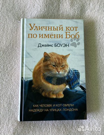 Уличный кот по имени Боб