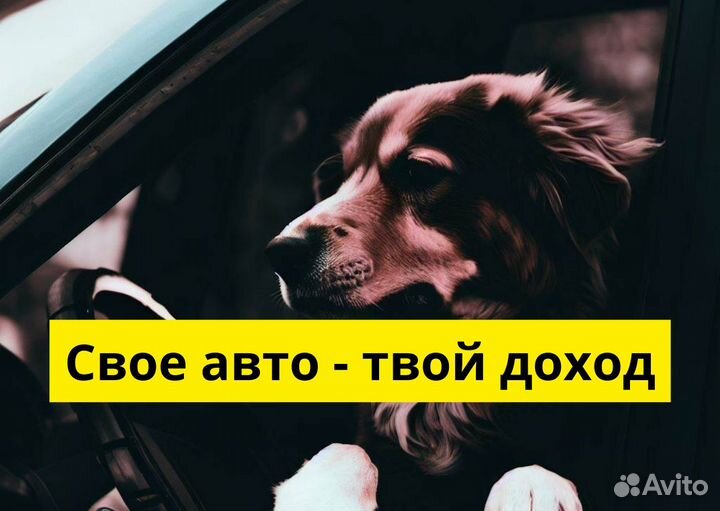 Работай в Яндекс Go на своем т/с