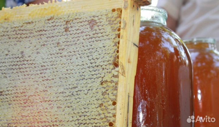 Мед Башкирский