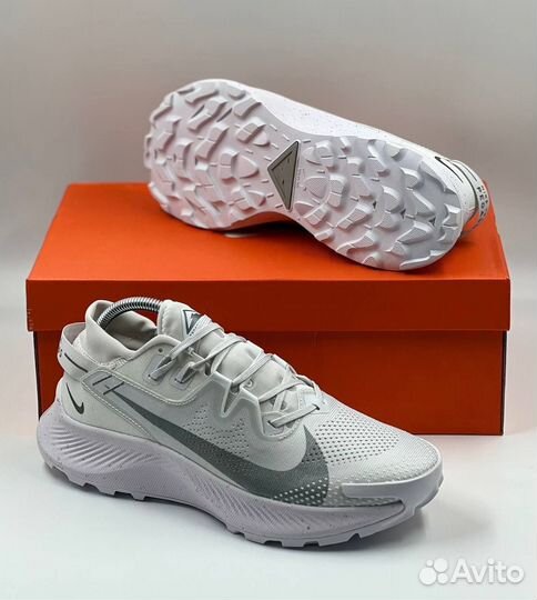 Кроссовки Nike Pegasus (42)