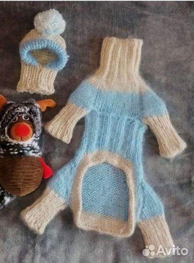 Одежда на собак