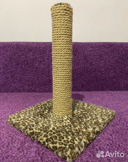 Когтеточка