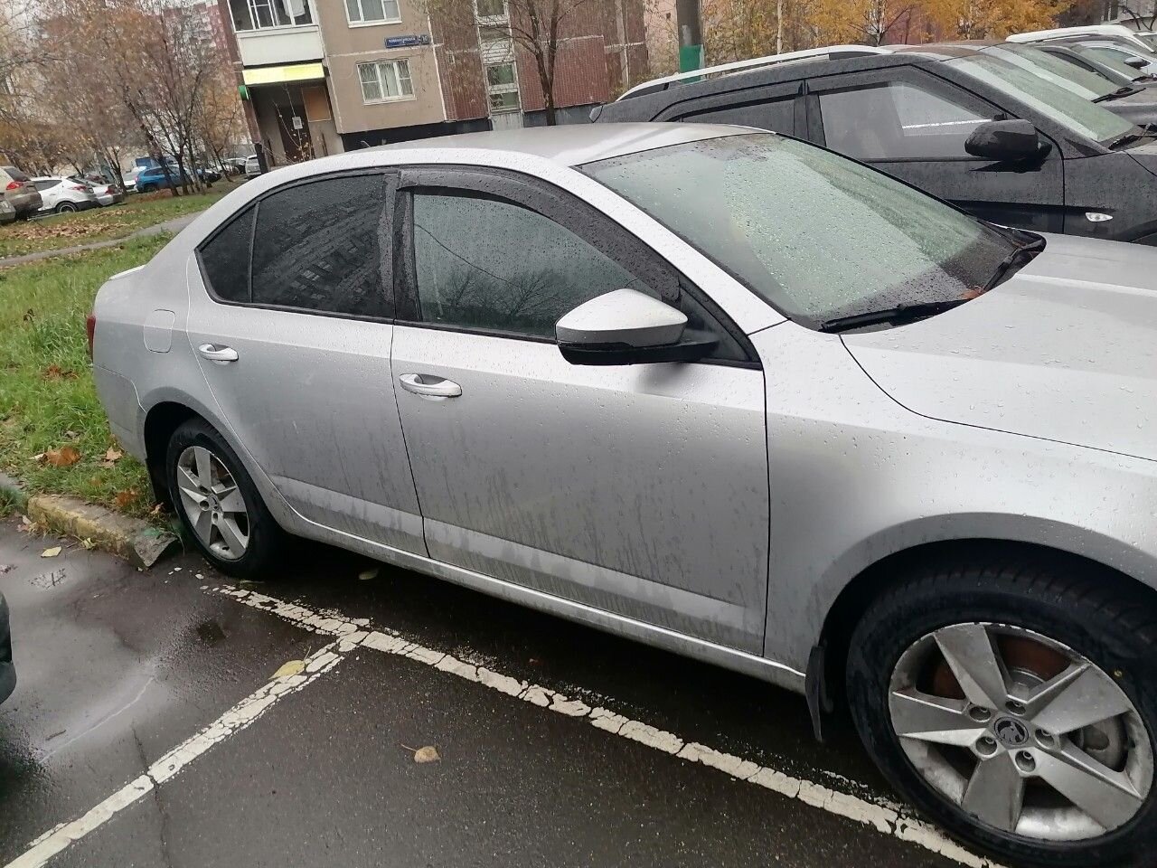 Skoda Octavia: фото владельца