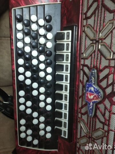 Баян Баркаролло Италия, профессиональный