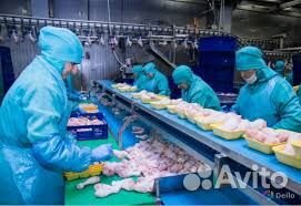 Упаковщик(ца) на птицефабрику - вахта