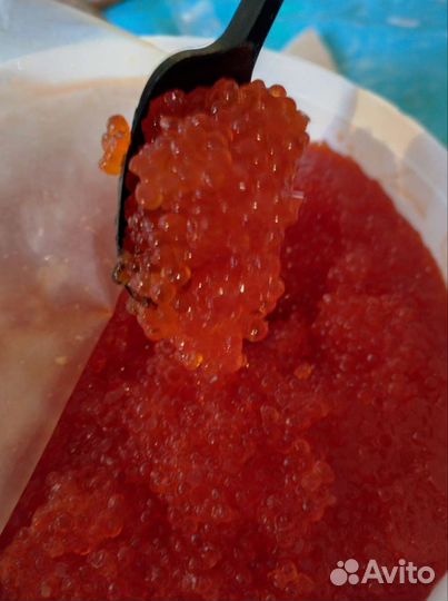 Икра форели забойная, высший сорт