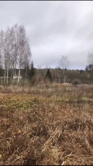Участок 10,01 га (СНТ, ДНП)