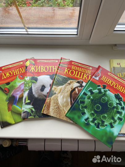 Детская энциклопедия Росмэн