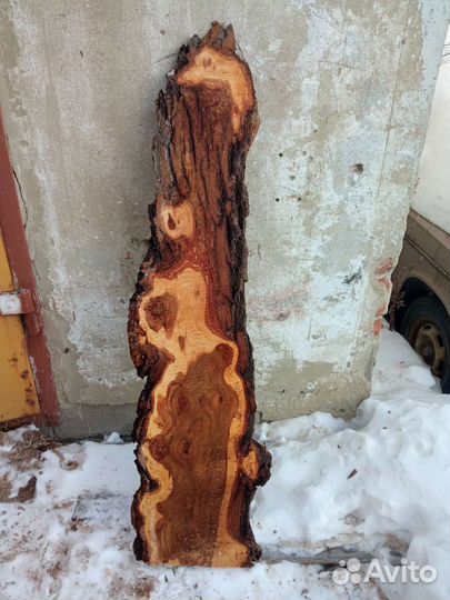 Слэбы Капового карагача