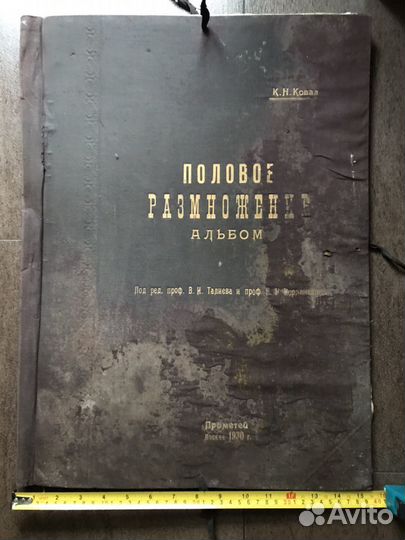 Альбом с постерами «Половое размножение» 1930 год