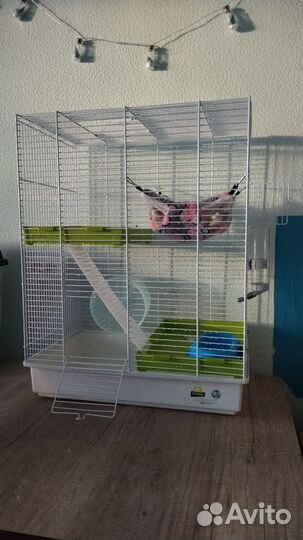 Клетка для грызунов Ferplast и многое другое