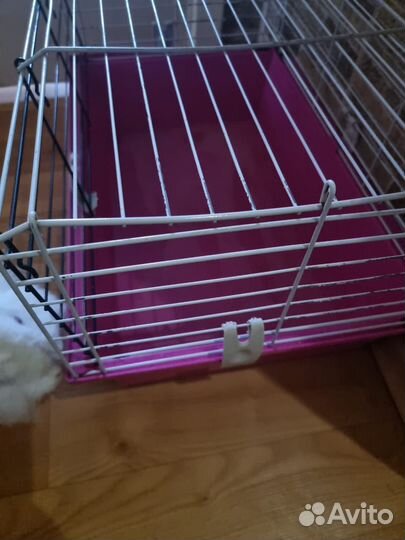 Клетка для декоративного кролика