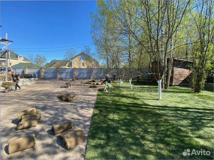 Рулонный газон