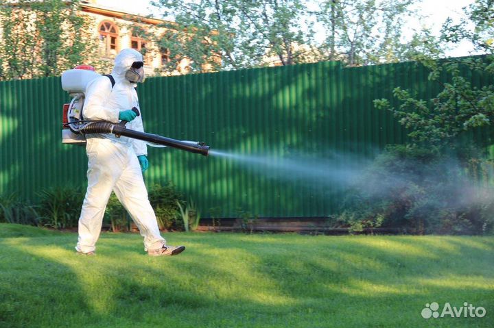 Дезинсекция. Обработка от клещей, комаров, тли