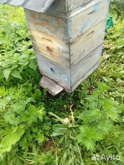 Ульи для пчел