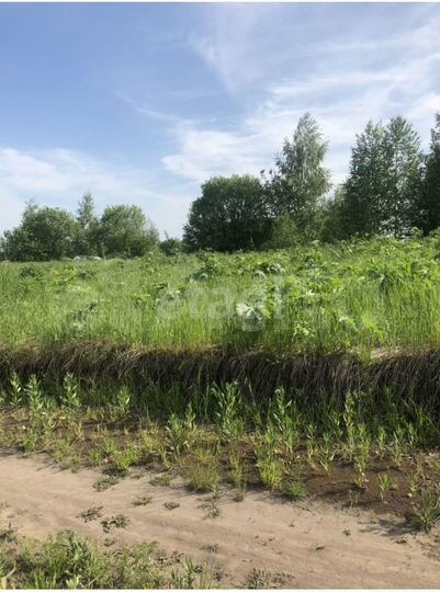 Участок 15 сот. (СНТ, ДНП)