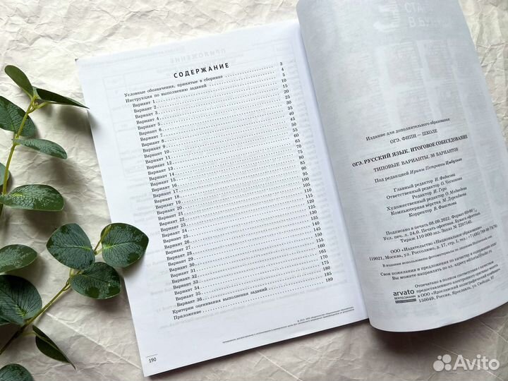 ОГЭ русский язык итоговое собеседование