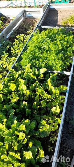 Грядки оцинкованные