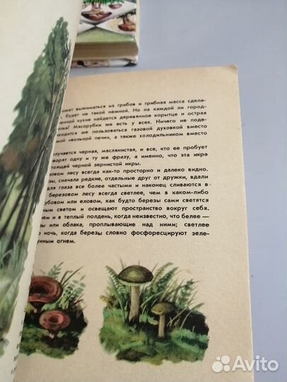Книги по кулинарии, питанию, грибы