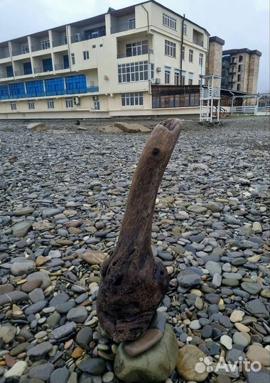 Дрифтвуд коряга