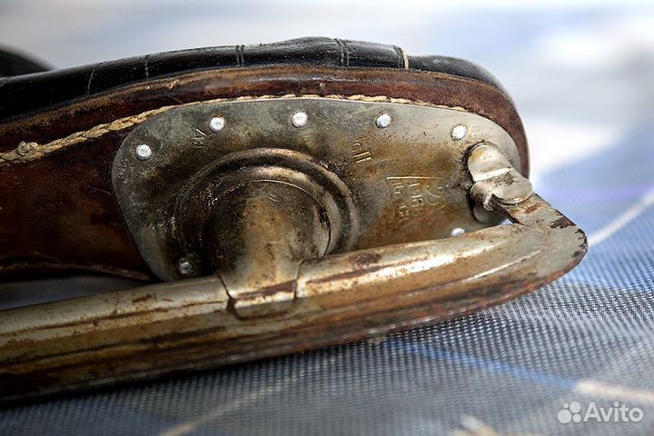 Коньки