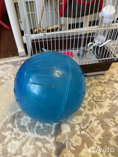 Колесо для Сирийского хомяка