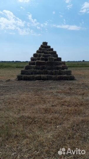 Солома в брикетах