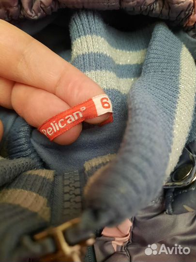 Куртка pelican