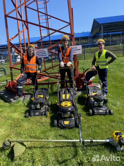 Покос травы