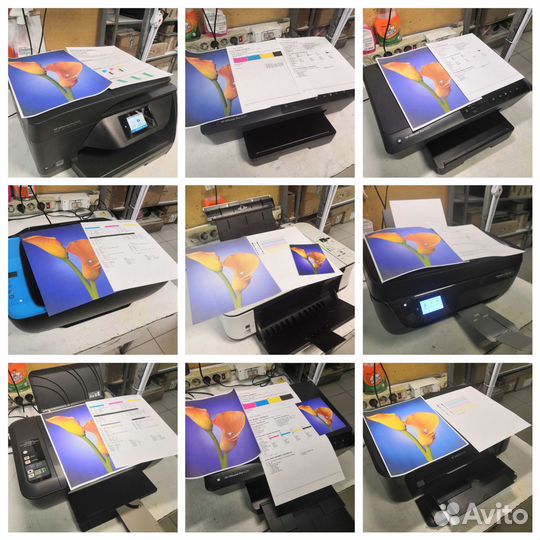 Ремонт струйных принтеров и мфу